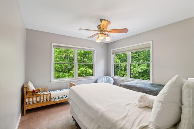 carpeted bedroom with multiple windows and ceiling fan