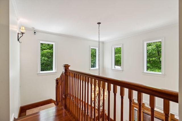 corridor with hardwood / wood-style flooring and ornamental molding