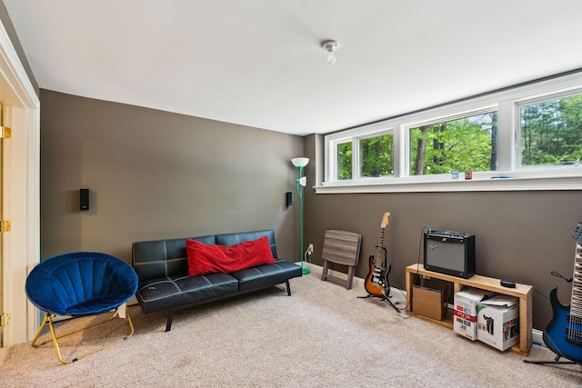 sitting room featuring light carpet