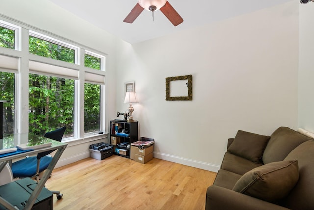 office featuring ceiling fan and light wood-type flooring