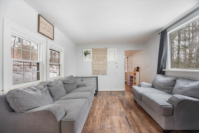 living room featuring hardwood / wood-style floors