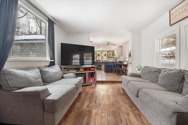 living room with wood-type flooring, ceiling fan, and a wealth of natural light