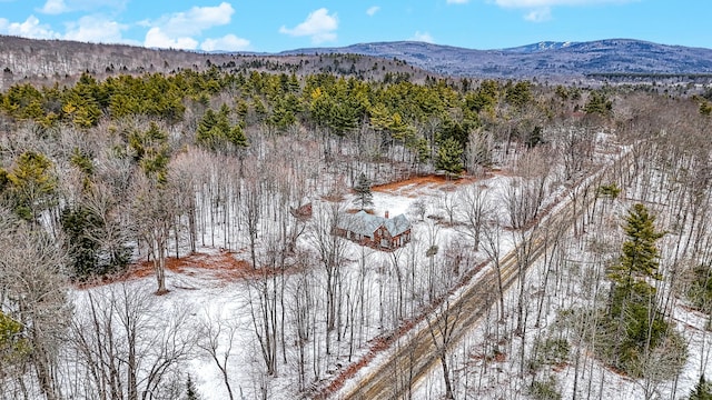 snowy aerial view featuring a mountain view