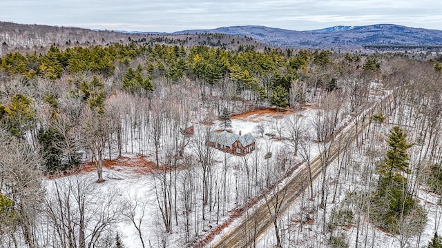 snowy aerial view with a mountain view