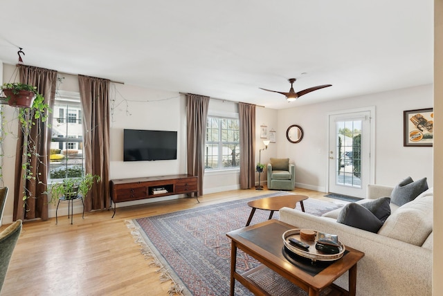 living room with ceiling fan and light hardwood / wood-style floors