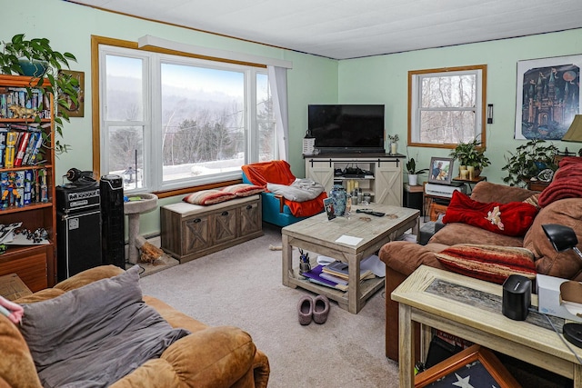 living room featuring carpet and baseboard heating