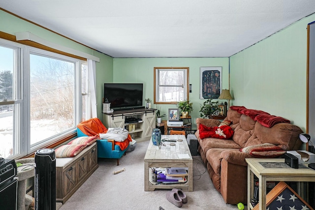 living room featuring light colored carpet