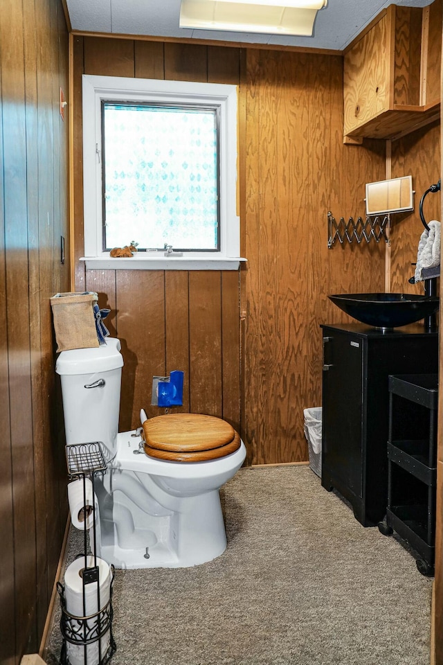 bathroom with wood walls, vanity, and toilet