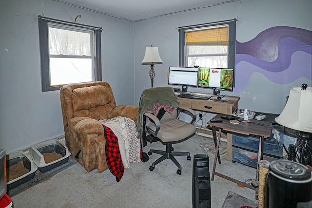 office area featuring carpet floors