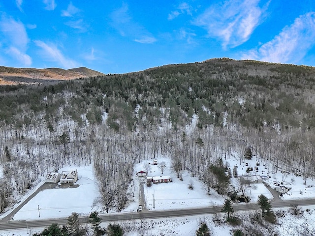 snowy aerial view featuring a mountain view