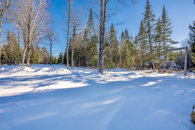 view of yard layered in snow