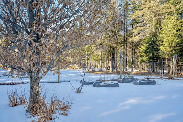 view of snowy yard