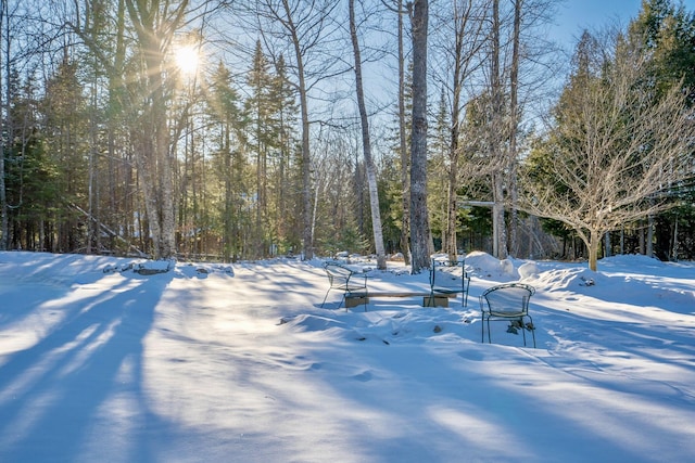 view of yard layered in snow