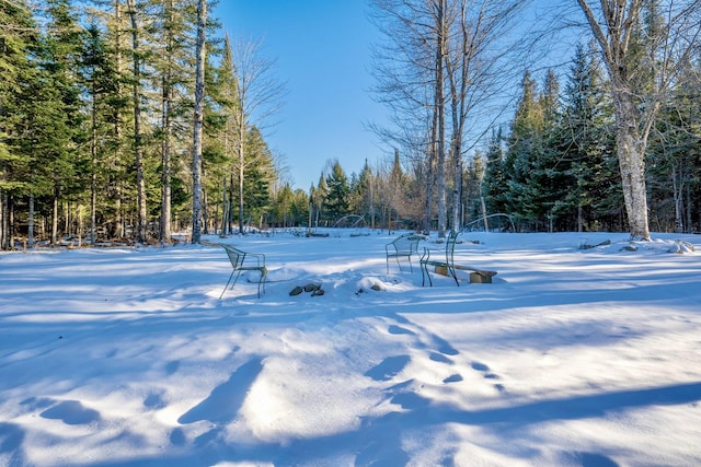 view of snowy yard