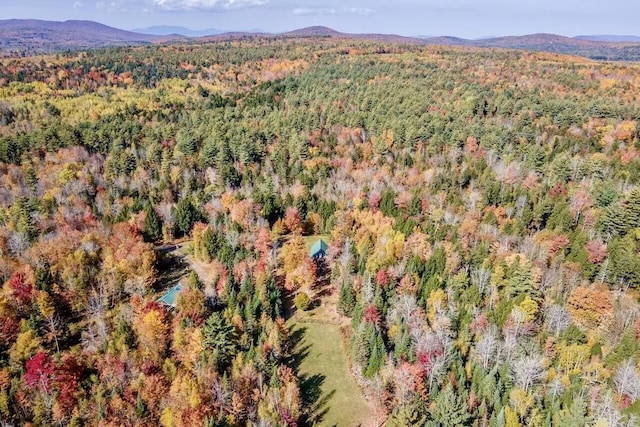 drone / aerial view featuring a mountain view