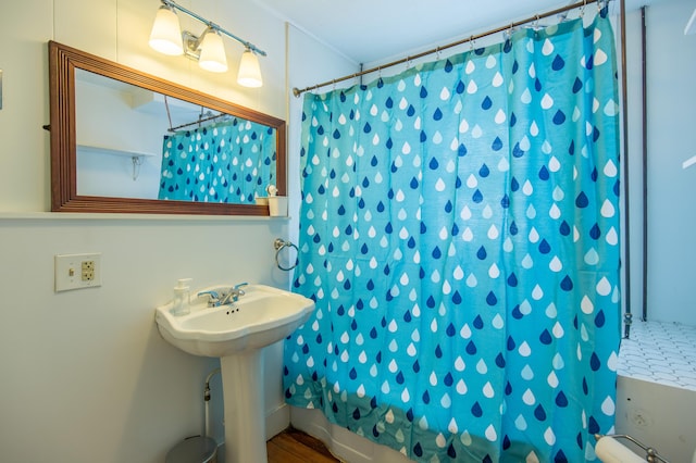 bathroom featuring curtained shower and a sink