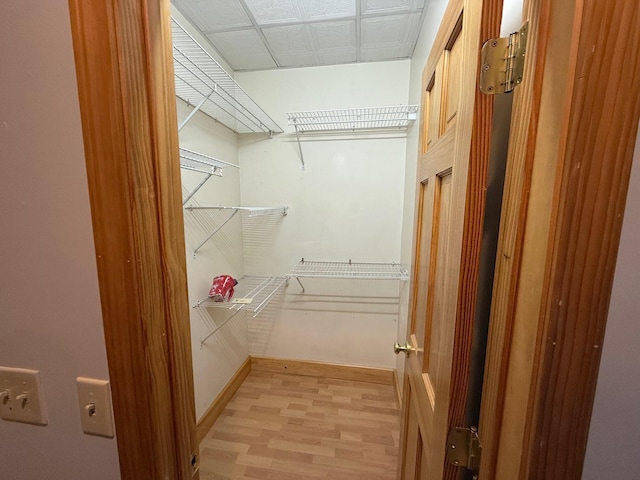 spacious closet with light hardwood / wood-style floors