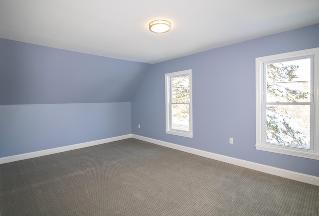 additional living space with carpet and lofted ceiling