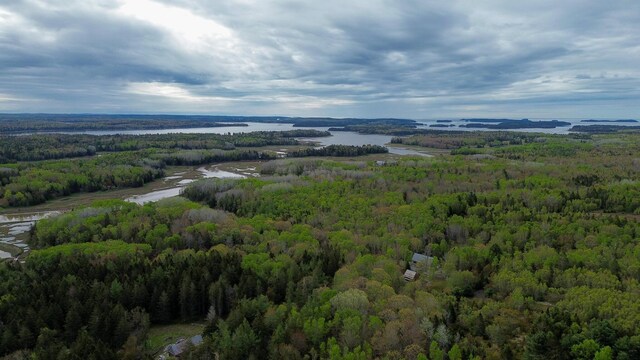 751 Kennedy Hwy, Milbridge, ME 04658 - bird's eye view of a forest and a nearby body of water