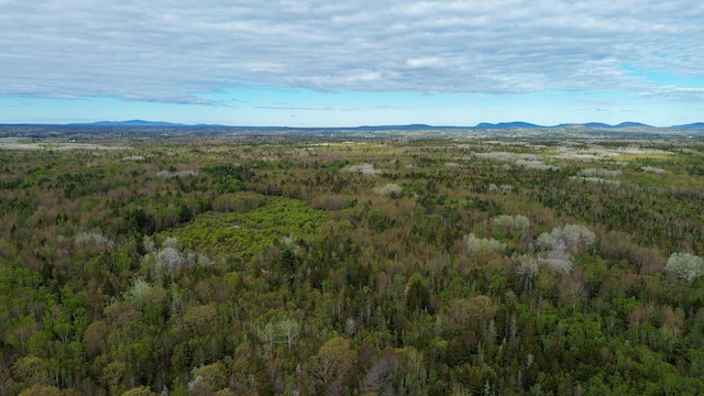 751 Kennedy Hwy, Milbridge, ME 04658 - mountain view featuring a heavily wooded area