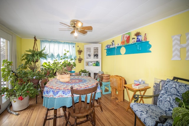 dining space featuring hardwood / wood-style flooring, ceiling fan, and a wealth of natural light