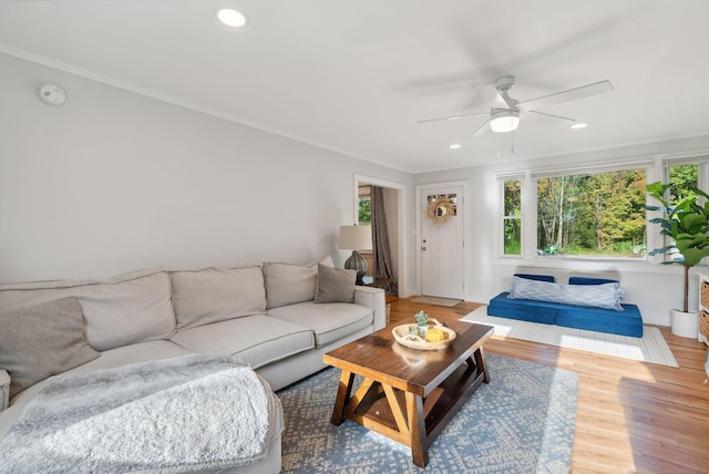 living room featuring hardwood / wood-style floors, ceiling fan, and ornamental molding