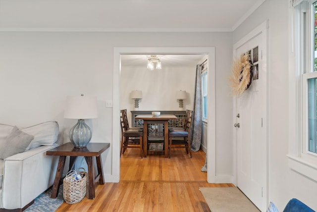 interior space featuring crown molding, hardwood / wood-style flooring, and plenty of natural light