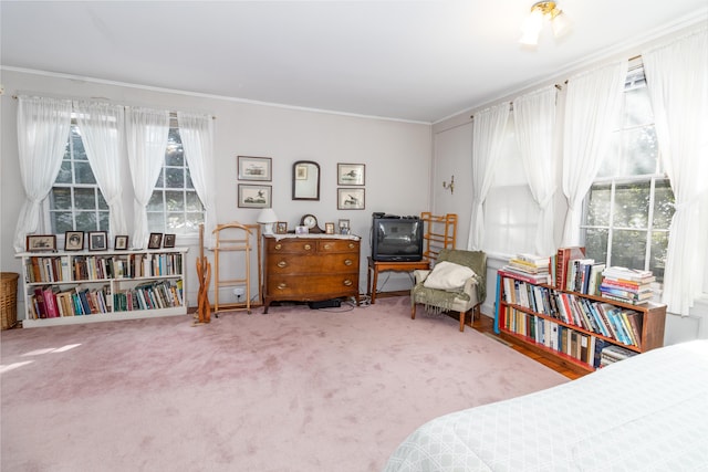 bedroom featuring carpet floors and crown molding