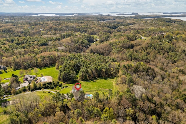 bird's eye view of a forest