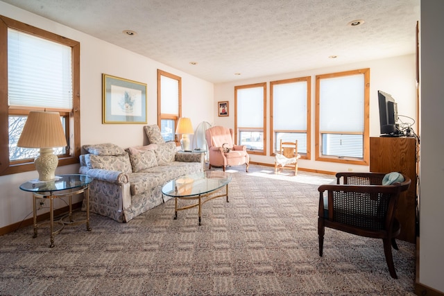 living room featuring carpet and a textured ceiling