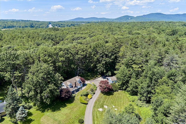 aerial view with a mountain view