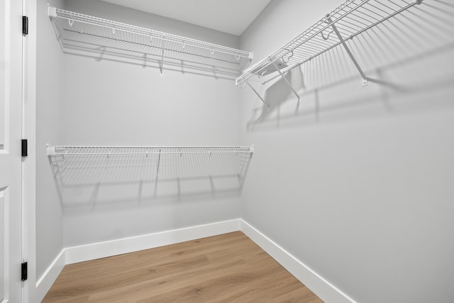 walk in closet with hardwood / wood-style flooring