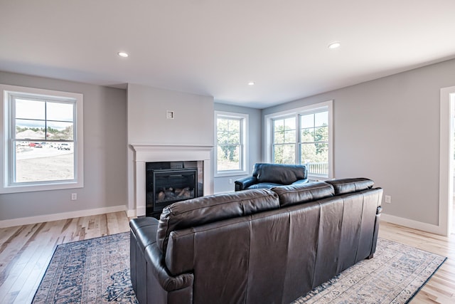 living room featuring light hardwood / wood-style floors