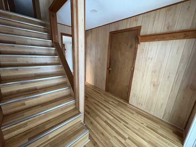 stairway with wooden walls