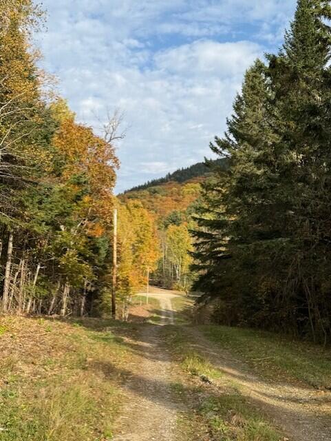 55 Brown Rd, Oakfield, ME 04763 - view of road