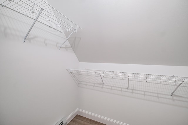 spacious closet featuring dark hardwood / wood-style flooring