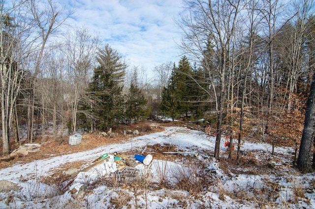 view of snow covered land