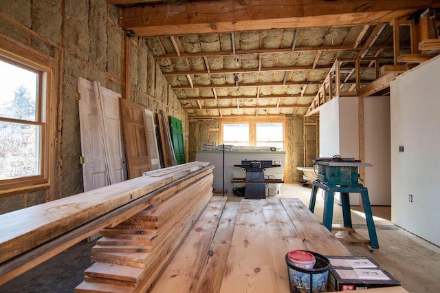 miscellaneous room featuring lofted ceiling