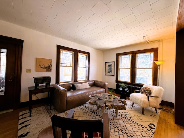 living room featuring hardwood / wood-style flooring