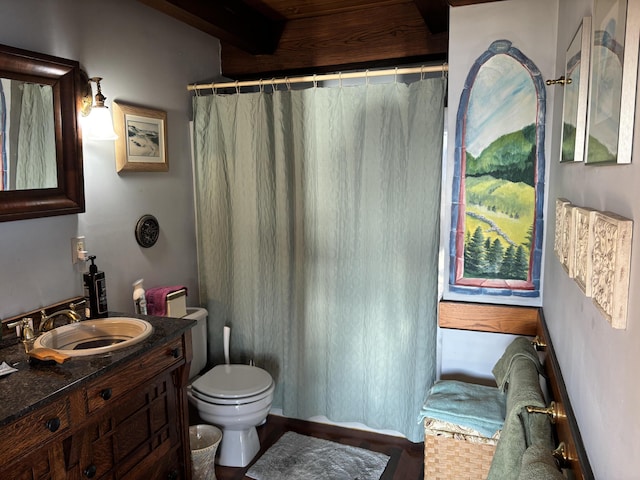 bathroom featuring toilet and vanity