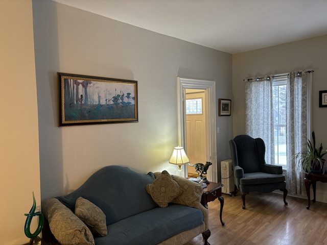 living room featuring wood-type flooring