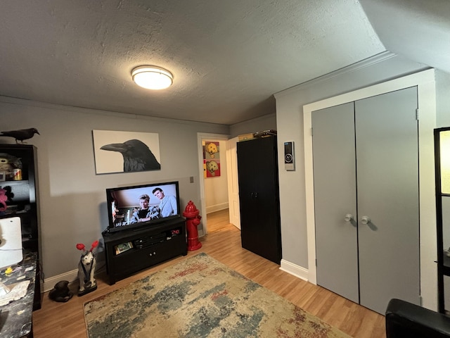 living room with a textured ceiling and light wood-type flooring