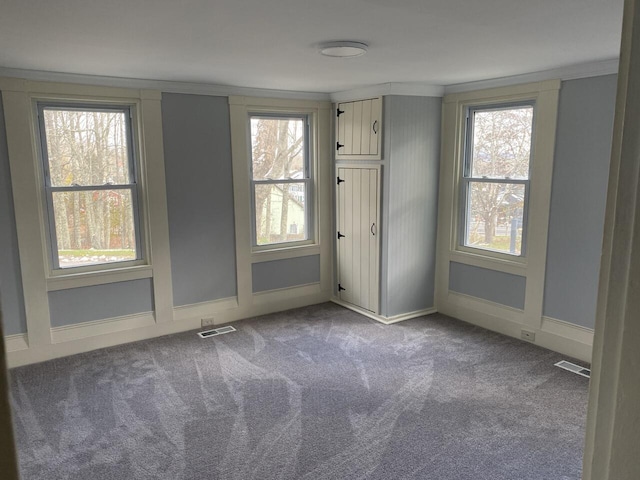 carpeted spare room featuring ornamental molding and plenty of natural light