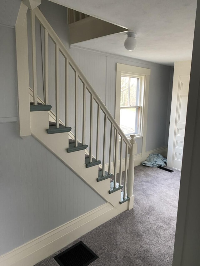 stairs with carpet floors