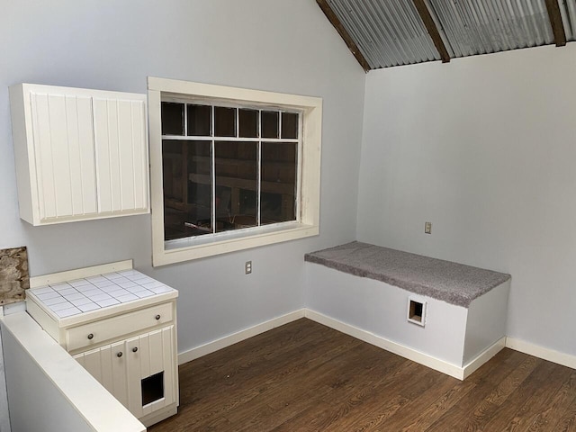 washroom featuring dark wood-type flooring