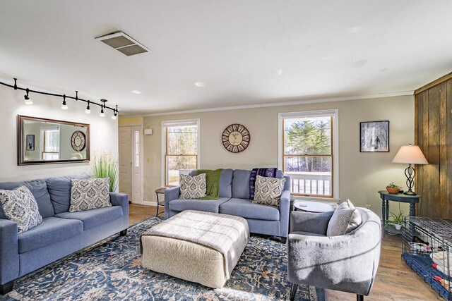 living room with wood-type flooring, crown molding, and rail lighting