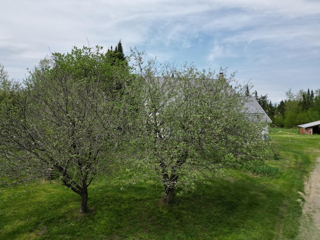 exterior space featuring a lawn