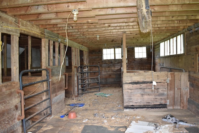 view of horse barn