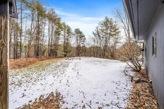 view of yard covered in snow