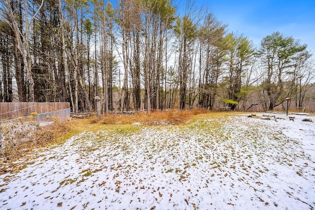 view of yard covered in snow